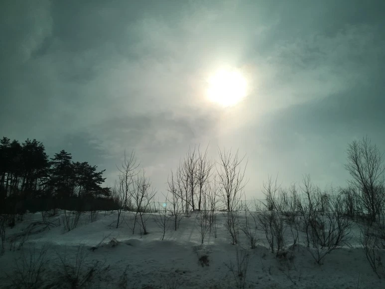 IMG_2337.JPG?type=w773