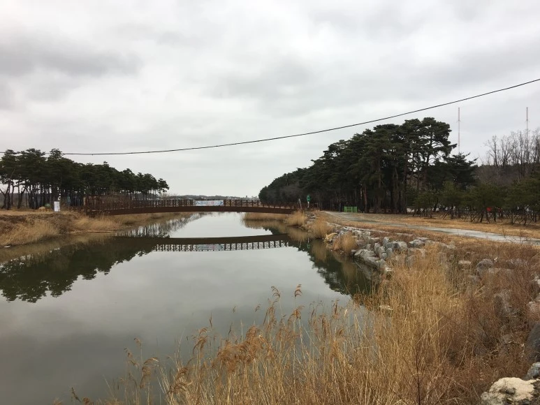 IMG_2648.JPG?type=w773