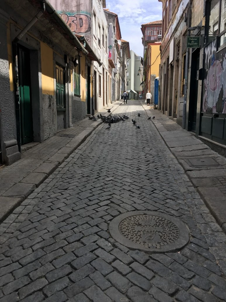 IMG_0433.JPG?type=w773