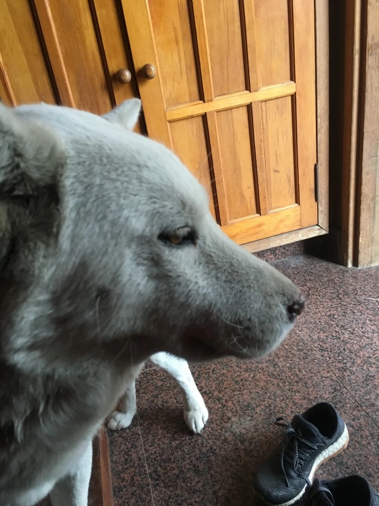 IMG_3230.JPG?type=w773