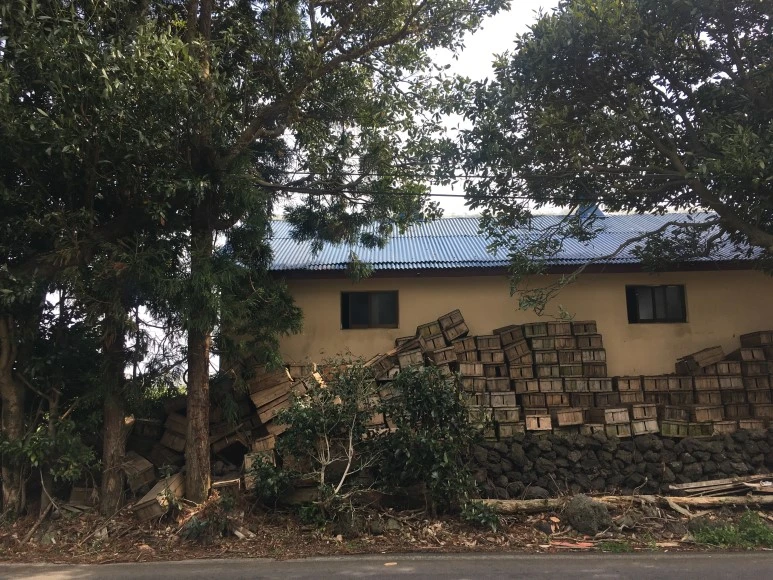 IMG_4349.JPG?type=w773