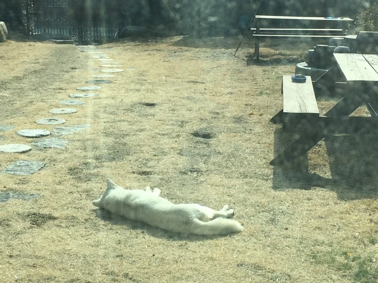 IMG_2749.JPG?type=w773