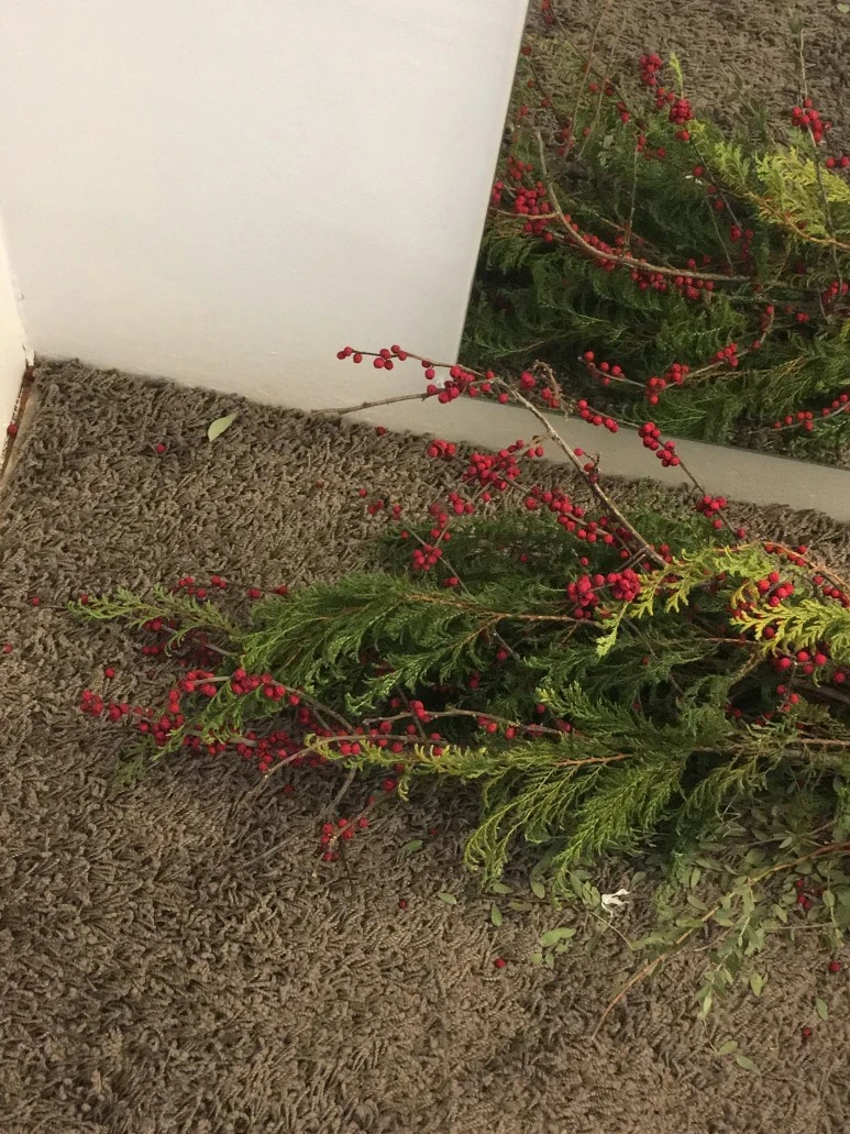 IMG_2585.JPG?type=w773