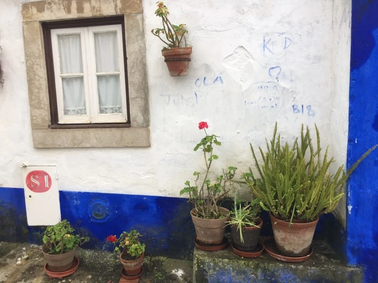 P20190201_121502883_1DBD225D-5900-4404-BAA3-BC9917FEB868.JPG?type=w773