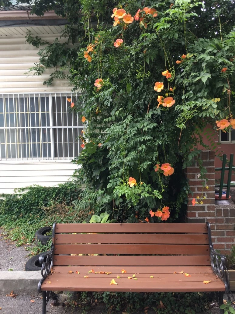 P20180729_153602095_877FA783-4D80-4989-8E48-2C590AAEA0EB.JPG?type=w773