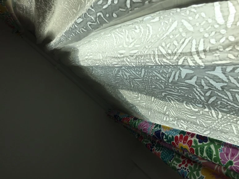 P20180729_081134238_D5D6ED0B-F002-4EDE-97E0-7DD407977C1B.JPG?type=w773