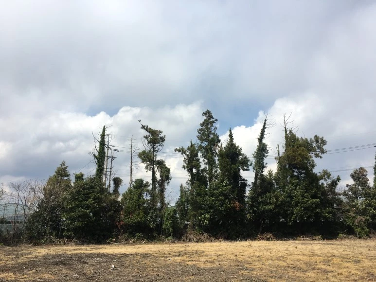 IMG_4348.JPG?type=w773