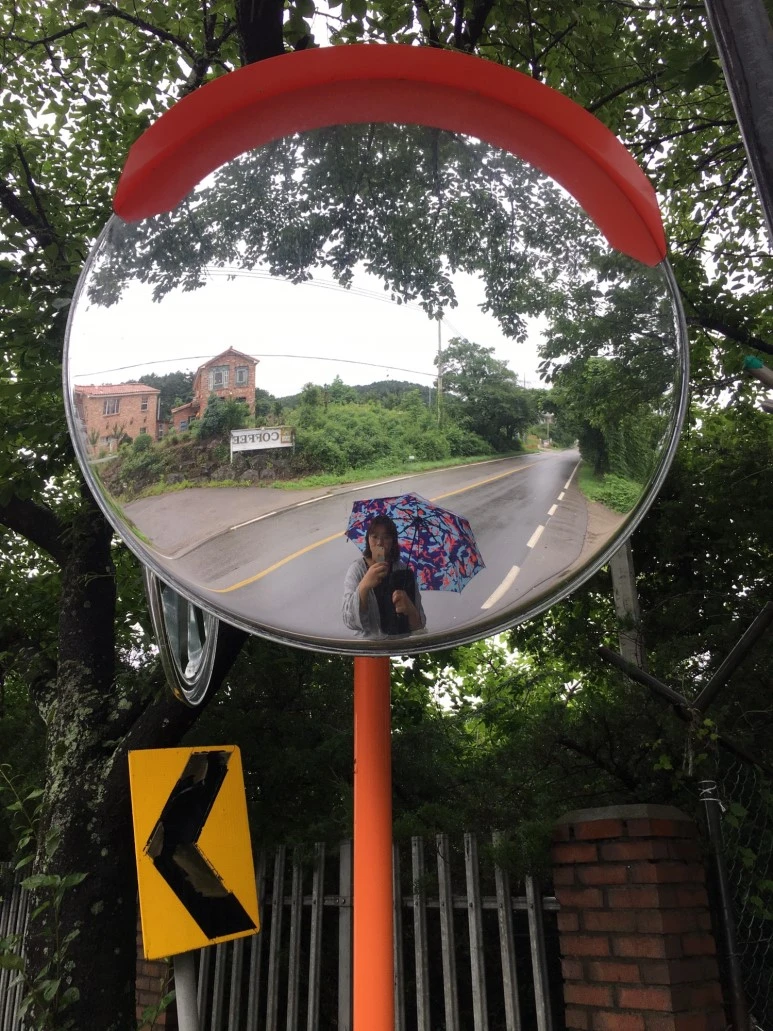 P20180711_134651948_F0B51FB6-8AA7-41D3-B261-C0FC5D177359.JPG?type=w773