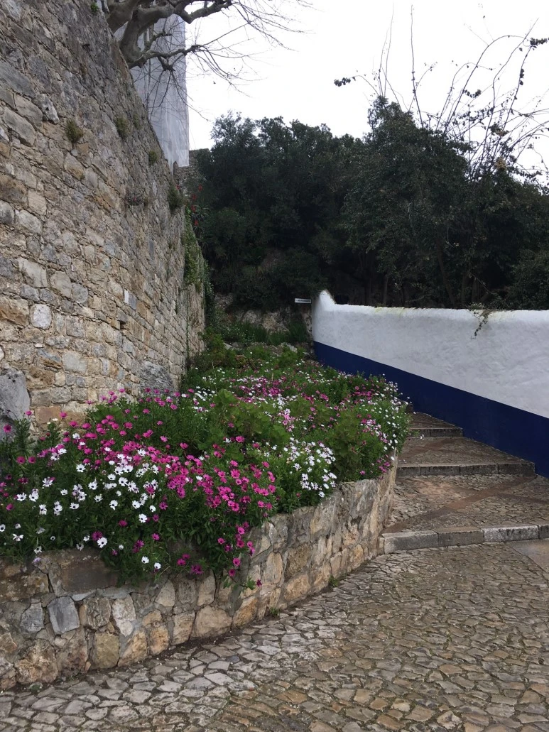 P20190201_125701941_87B7ED78-9DCF-443D-A594-3017357C81EB.JPG?type=w773