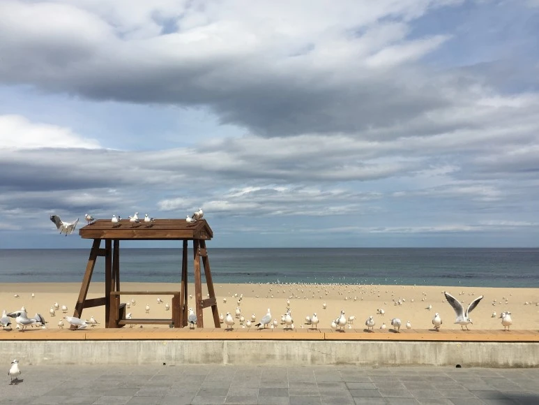 IMG_3266.JPG?type=w773