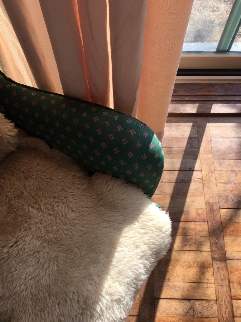 P20180112_104126262_0DE63C39-C484-4E64-8BEB-875D81D17399.JPG?type=w773