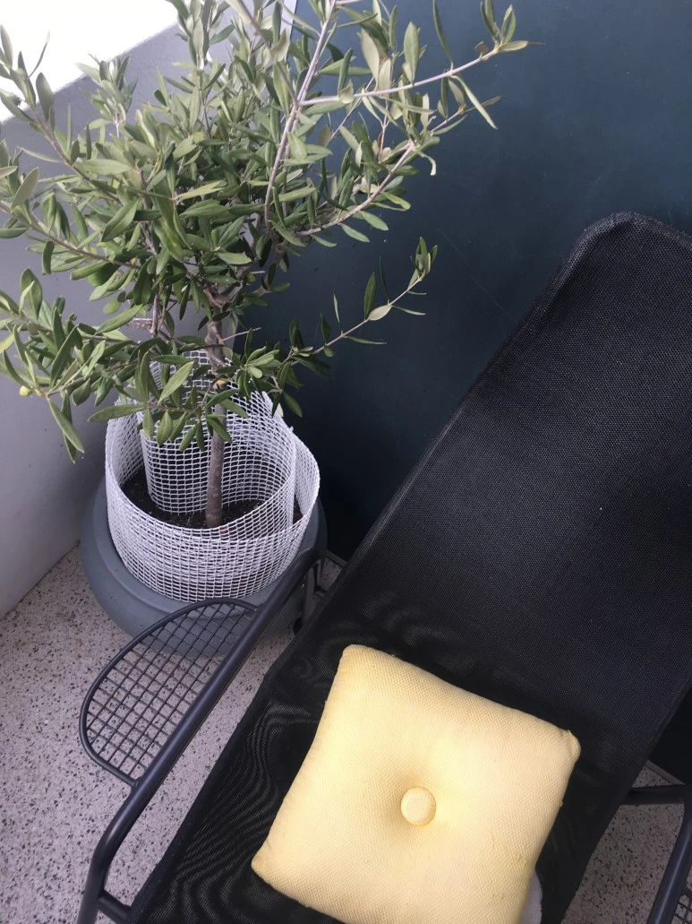 IMG_9915.JPG?type=w773