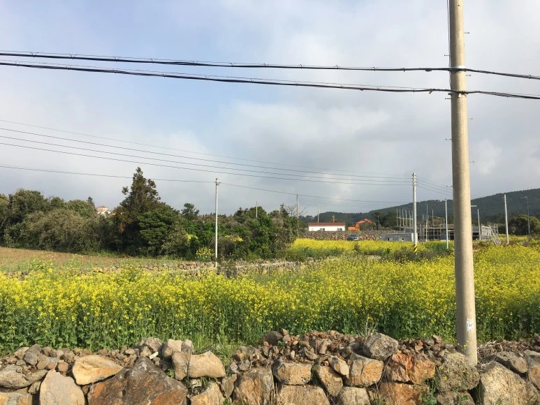 IMG_4230.JPG?type=w773