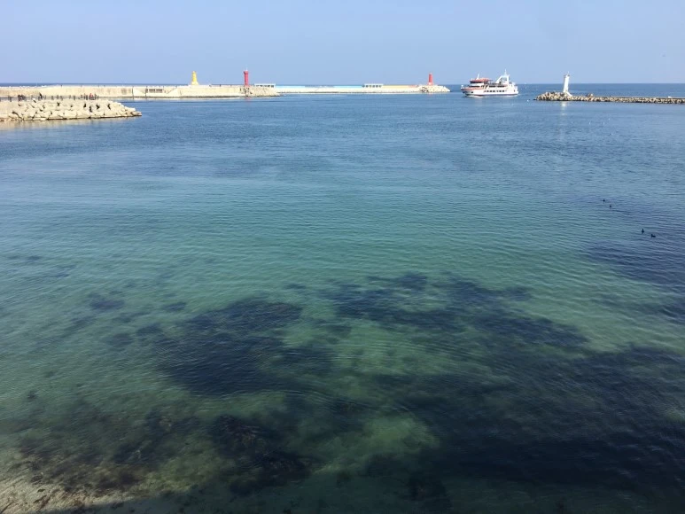 IMG_2871.JPG?type=w773