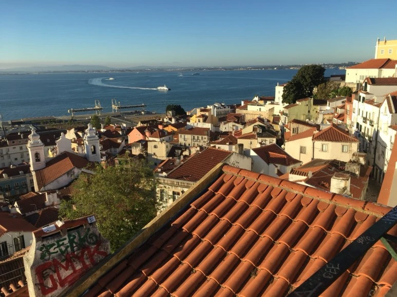 P20170817_155221659_03F575AE-990C-4BED-8EFB-4ED41270143E.JPG?type=w773