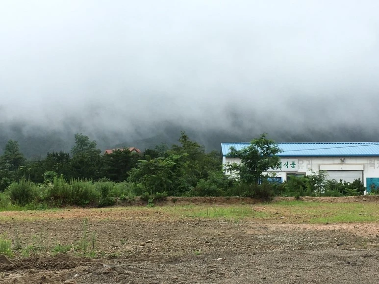 P20180710_120606782_21D7B988-571D-4083-8C9A-F77B2109EAC9.JPG?type=w773