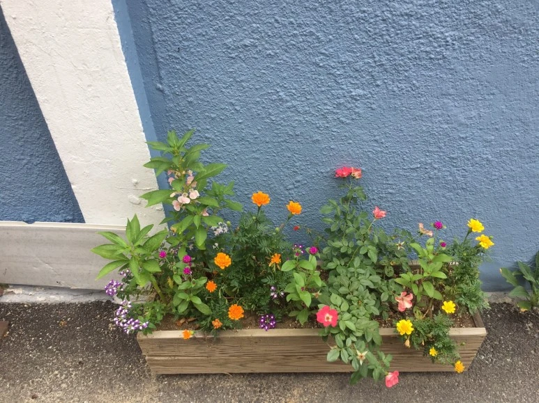 P20180729_152129123_27F228B8-73EB-406D-AC45-09D576CFC007.JPG?type=w773