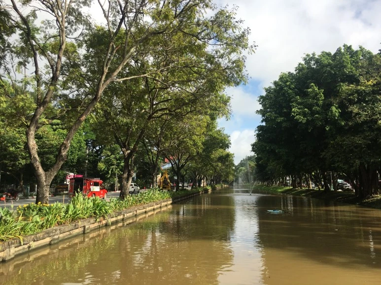 IMG_7311.JPG?type=w773