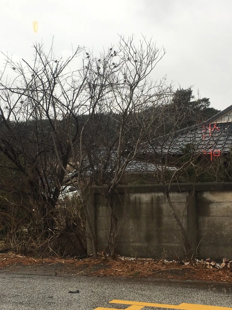 IMG_2624.JPG?type=w773