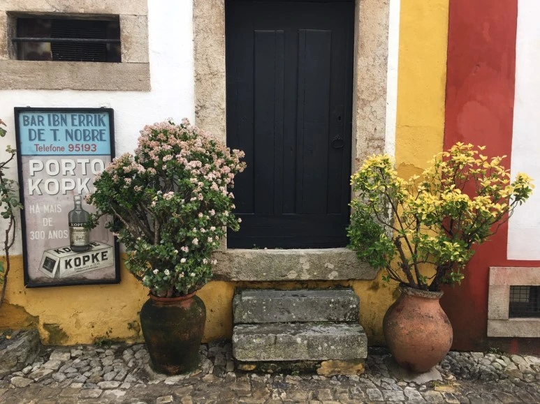 P20190201_121334688_BF00AB31-EF3C-47FB-85E4-6BFEE82572B0.JPG?type=w773