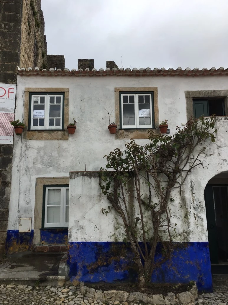 P20190201_111140213_BF3C7B25-8AB7-49B7-B08D-31AE41F5372D.JPG?type=w773