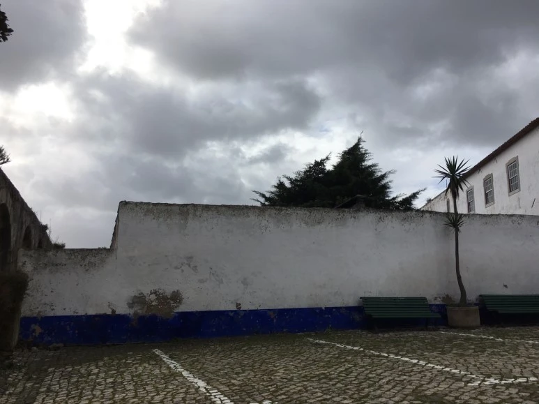 P20190201_110931416_8A8EA09B-C1C2-4165-8D61-2E124FCFFE14.JPG?type=w773