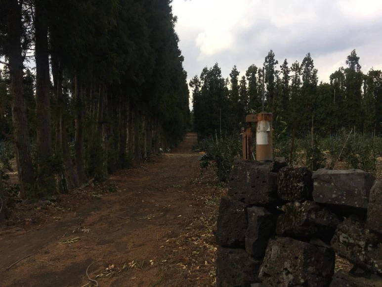 IMG_4355.JPG?type=w773