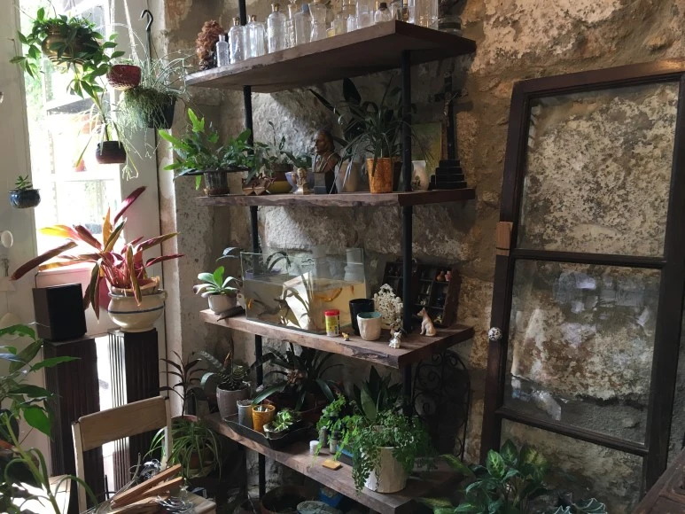 IMG_0443.JPG?type=w773