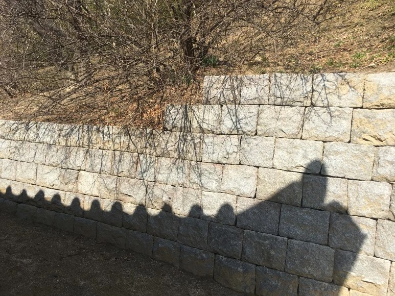 IMG_3021.JPG?type=w773