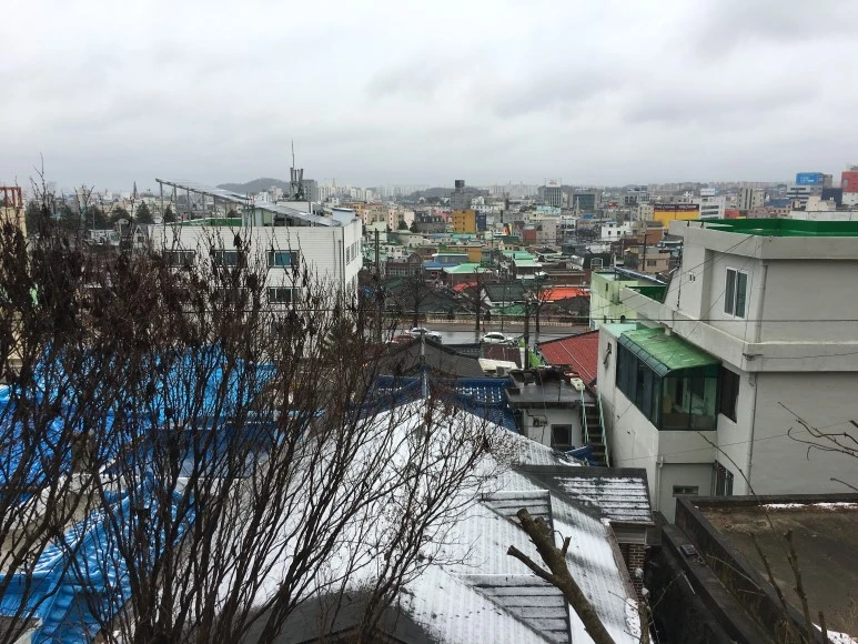 IMG_2511.JPG?type=w773