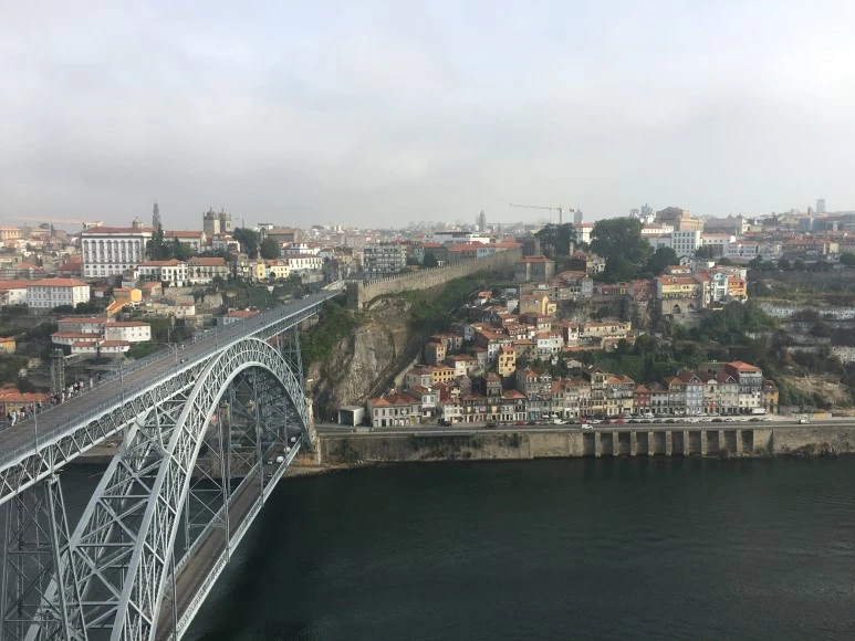 IMG_0003.JPG?type=w773