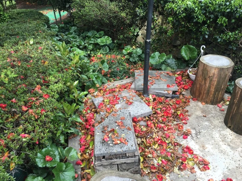 IMG_4399.JPG?type=w773