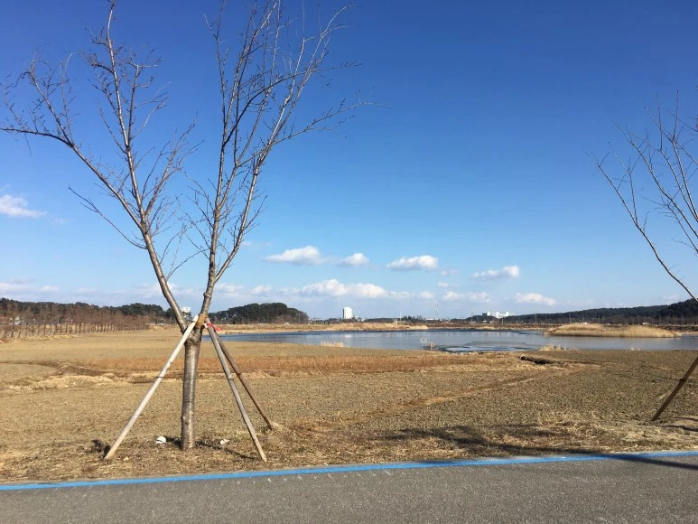 IMG_0535.JPG?type=w773