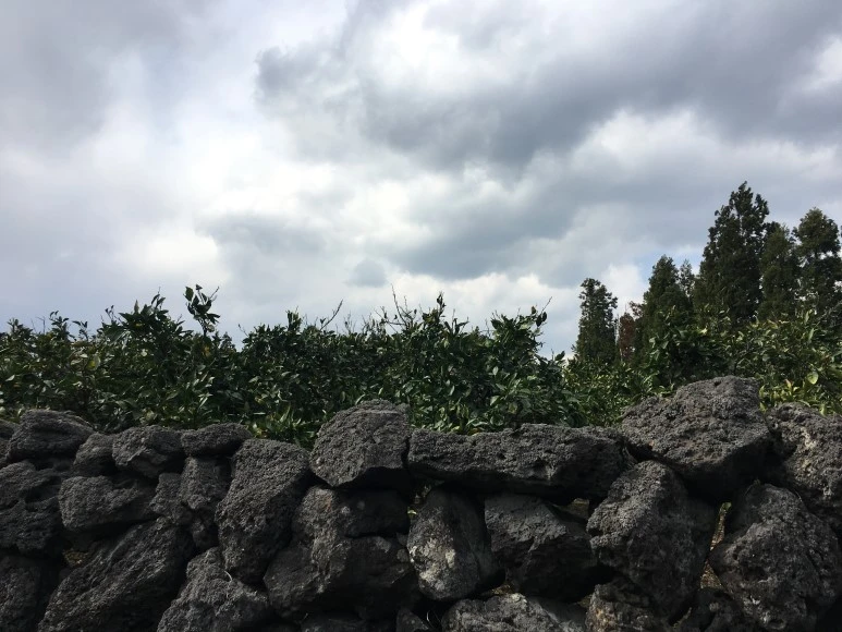 IMG_4364.JPG?type=w773