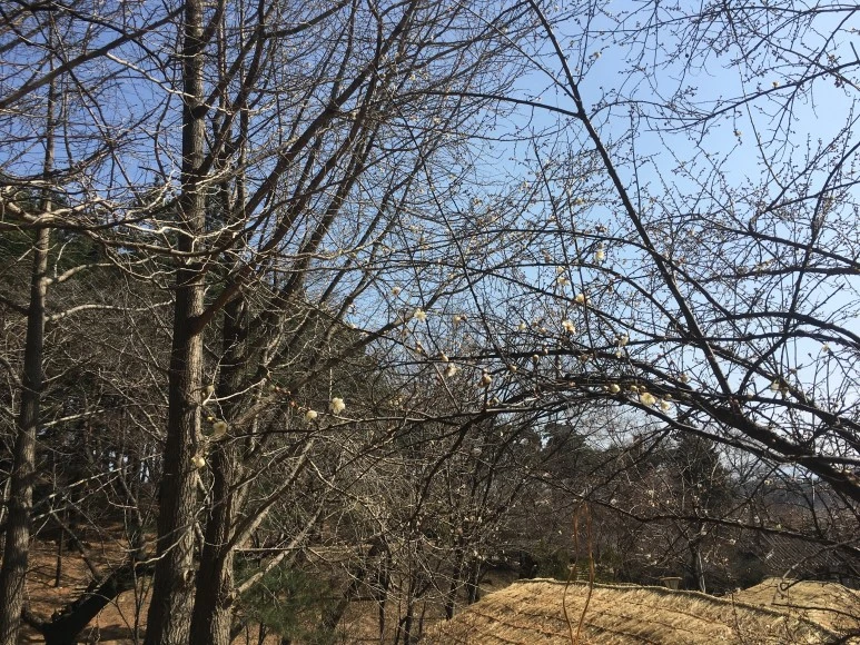 IMG_3071.JPG?type=w773