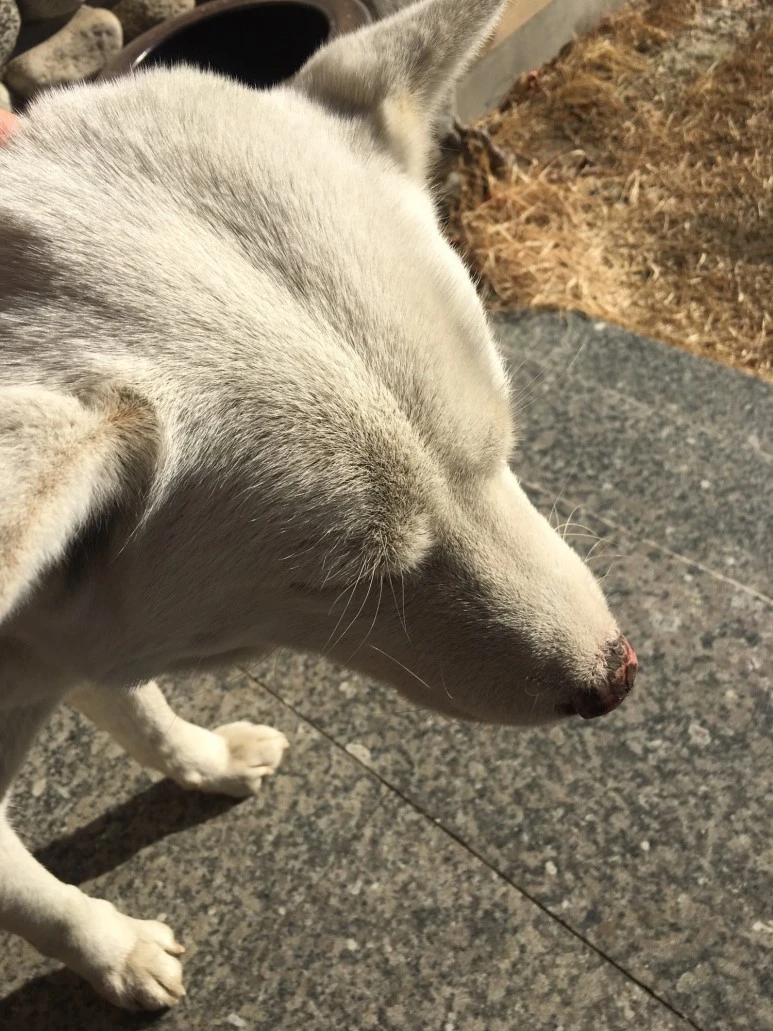 P20180112_104508761_9FFC6AE6-75F2-43A4-8DF5-3EDF02CED684.JPG?type=w773