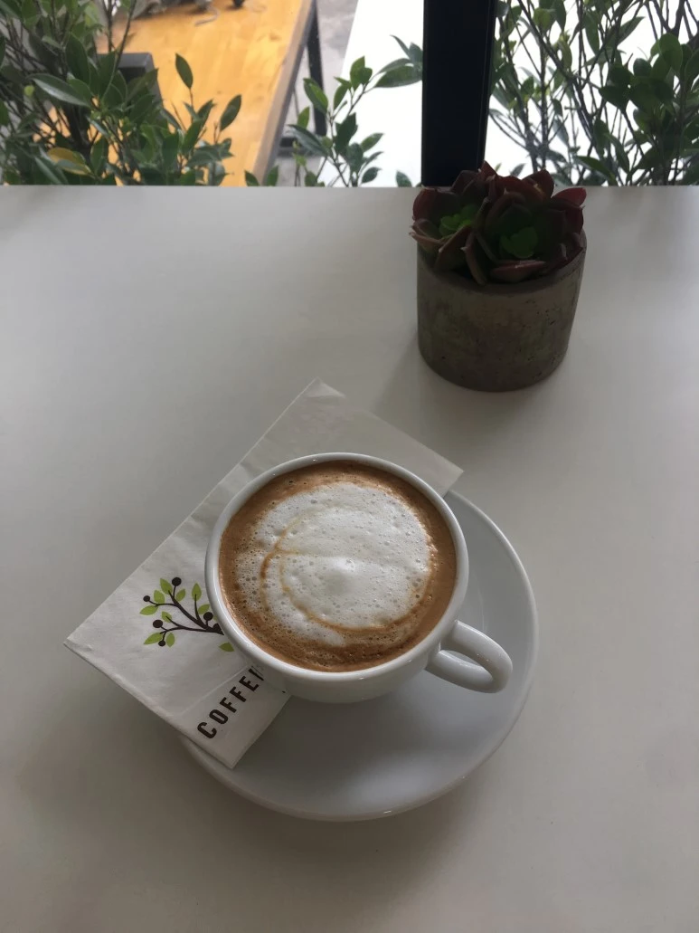 IMG_7075.JPG?type=w773