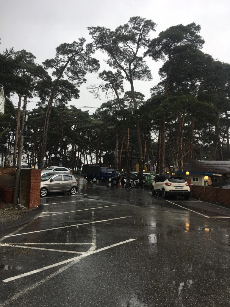 IMG_2604.JPG?type=w773