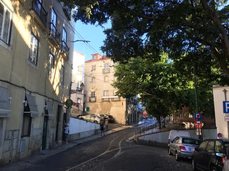 P20170817_154946676_05CA7990-288A-4043-A1D8-C125E2C92703.JPG?type=w773