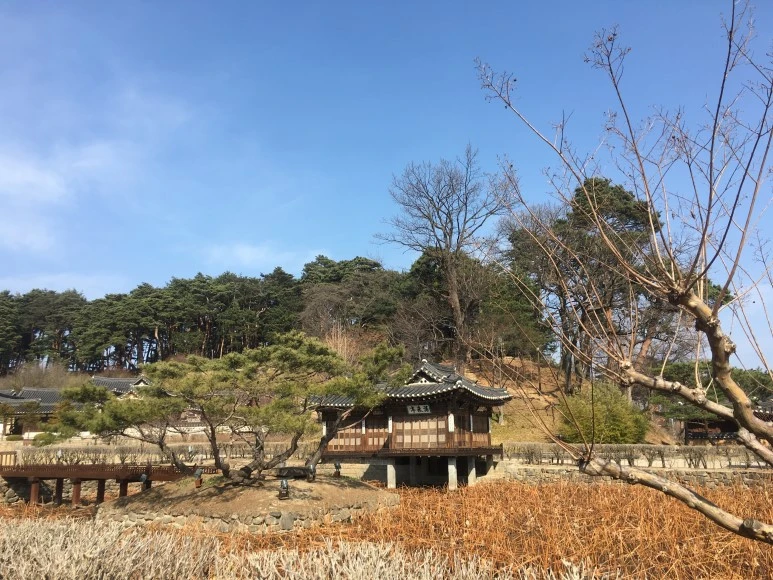 IMG_3101.JPG?type=w773