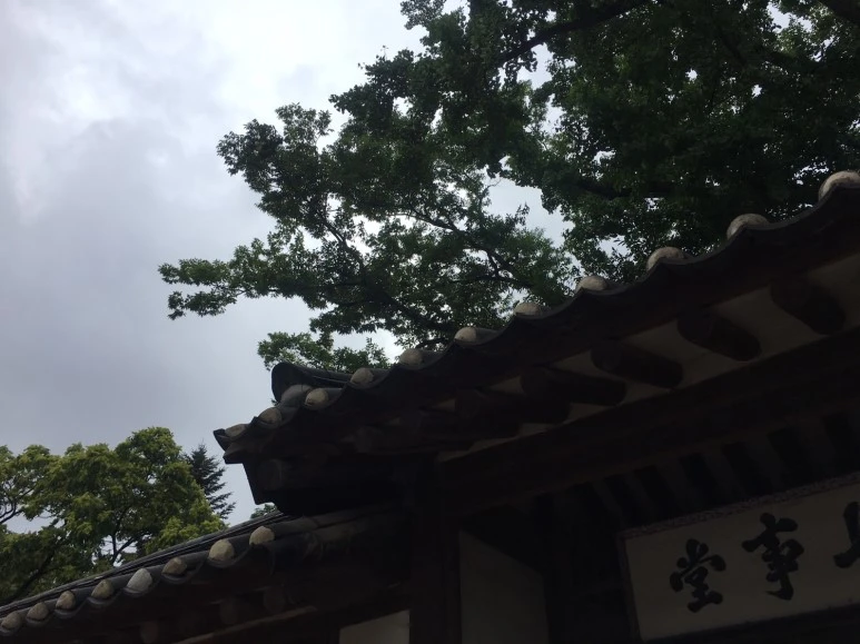 P20180729_153928210_32A9F6DF-AF1C-4B1B-82ED-A625934030F6.JPG?type=w773