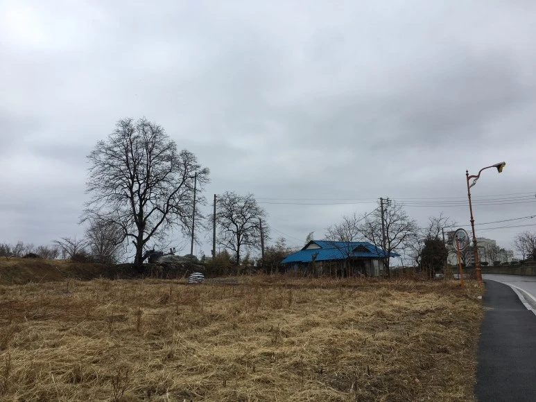 IMG_2717.JPG?type=w773