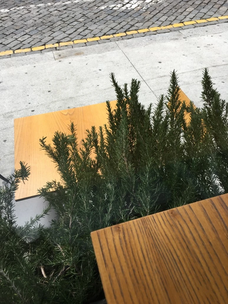 IMG_0429.JPG?type=w773