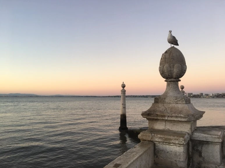 P20170817_145033158_8503B65C-4F96-4CAD-B116-652B9919E508.JPG?type=w773