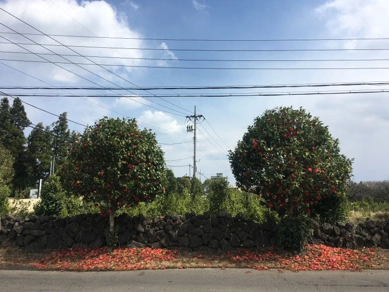 IMG_4325.JPG?type=w773