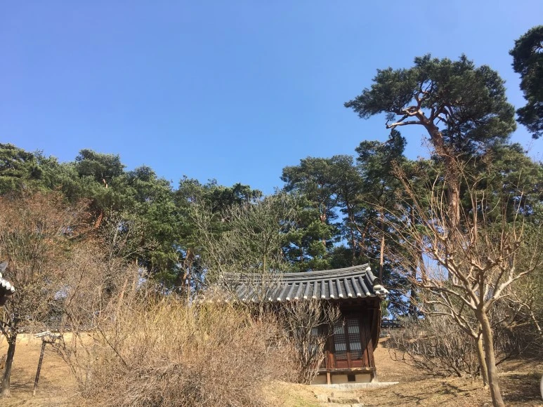 IMG_3018.JPG?type=w773