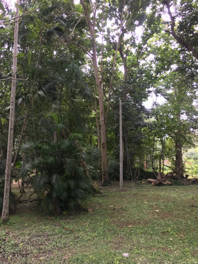 IMG_7402.JPG?type=w773