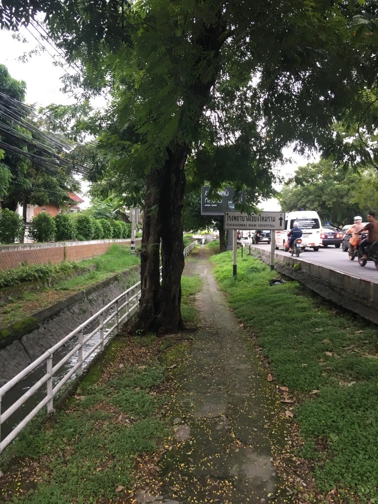 IMG_7291.JPG?type=w773