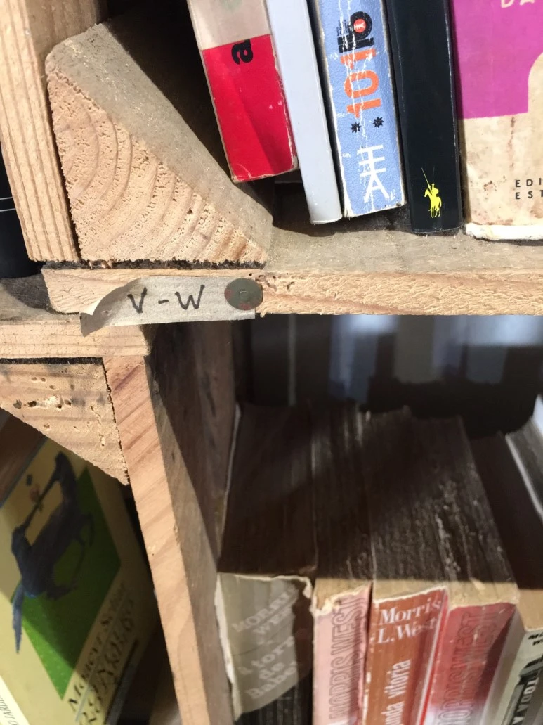 P20190201_145328726_F7D5FBE8-4639-4040-8235-FA118BECDE9B.JPG?type=w773