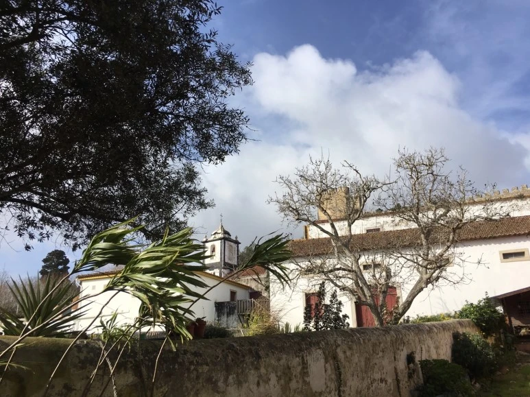 P20190201_110653927_D75A2788-BAA9-42DB-9C44-FDD1692A2ACC.JPG?type=w773